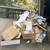 🚚UNWANTED ITEMS BIG OR SMALL FREE ESTIMATES CALL NOW 925-489-4485 4 thumbnail