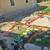 E&M LANDSCAPING LLC 16 thumbnail