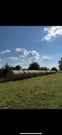 Round bales 1