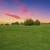 JUST LISTED! 7.5+ acre land for residential or other opportunity! 11 thumbnail