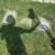 Lawn Mowing ☮️🕊️🌱🍃🌿 Prosperity Services 14 thumbnail