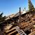 Junk Removal, Hauling and Dumpster Rental, SAME DAY SERVICE AVAILABLE! 14 thumbnail