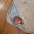 Crib/toddler bed mattress 2 thumbnail