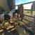 Minature horses for sale 1 thumbnail