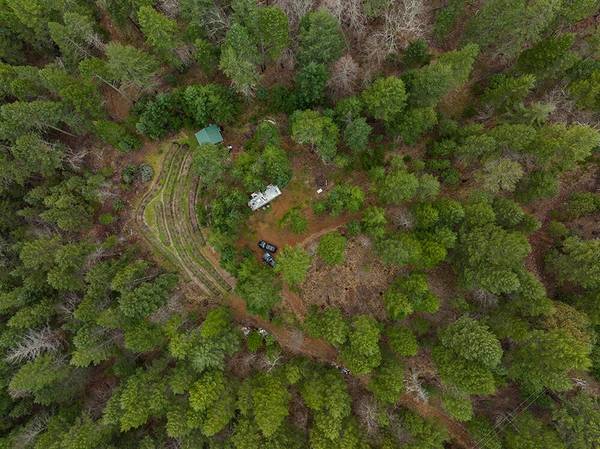 $215,000 🌄 37 Acres para Recorrer – Bosque, Vida Silvestre y Aislamiento Cerca de Lake Selmac (Selma, Oregon)63654692096003123