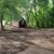 Bobcat Services ~ Drainage, Grading, Demo, Clearing & Boulder Walls 1 thumbnail