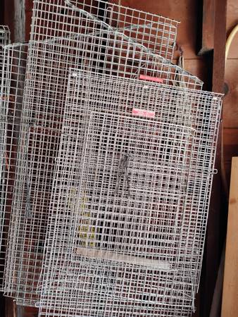 Free metal crate panels for repurpose or scrap. (Oakdale)63906250861826122