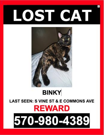 LOST CAT - BLACK / ORANGE MARKINGS / SHORTHAIR / FEMALE - $$ Reward $$ 1