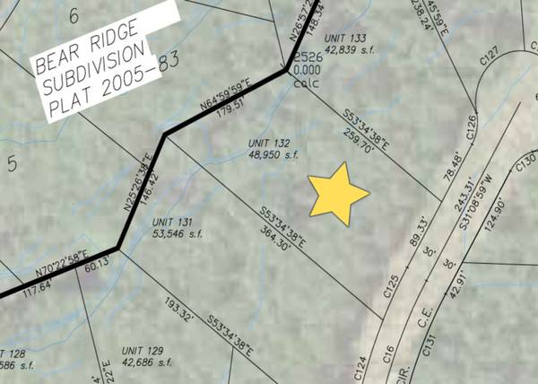 $125,000 / 48787ft2 - 217 Feet of Creekfront. 1,500 Feet of Runway. Gated Community (Willow)64014173810179121