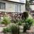 Great 2+1! 1207 Huntington Dr 3 thumbnail