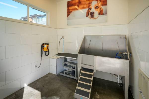 $1,610 / 1br - 608ft2 - Modern Kitchen w/ Quartz Countertops, Entertainment Kitchen (7338 S. Havana St., Centennial, CO 80112)63920603728258121