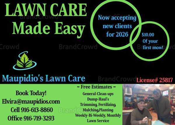 Cleanups leafe clean up dump hauling 1