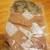 FIRM PRICE! NEW with Tags Women's Faux Fur Moto Jacket, Sizes S or M 5 thumbnail