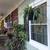 Beautiful plants 6 thumbnail