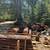 Incense Cedar, Doug Fir and Hardwood Sale! 1 thumbnail