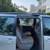 2006 Toyota sienna low miles $2950 11 thumbnail