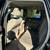 2011 Jeep Grand Cherokee Laredo 8 thumbnail