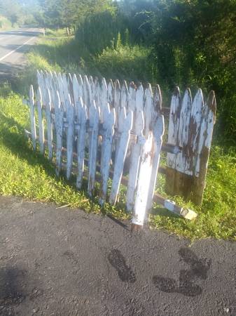 Old picket fencing 1