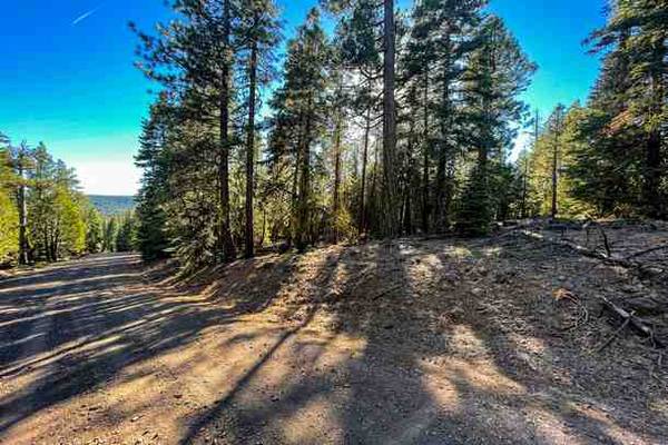 $125 /mo. Mountain Views & Privacy Versatile 0.9 Acres Modoc County, CA (Alturas, CA)64149625726978120