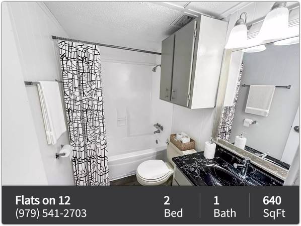 $800 / 2br - 640ft2 - This is the place you've been looking for! 2 BD / 1 BA! (College Station)63806733726851121