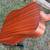 Martin 12 string acoustic/electric guitar 9 thumbnail