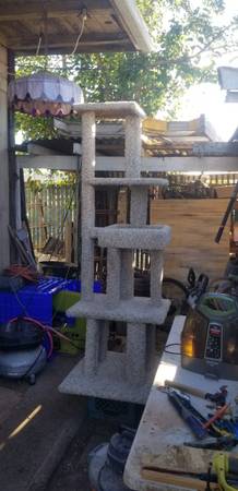 cat scratch post (sacramento)63679290494211120