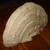 Hand Painted Saw Mushroom Fry Pan Northwoods Decor Display 2 thumbnail
