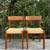 Vintage Teak Paper Cord Danish Modern Mid Century Modern Set of 2 Dining Chairs 2 thumbnail