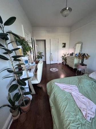 $1,050 / 1500ft2 - Habitación grande soleada llena de plantas con ambiente bohemio en Prospect Park! (Prospect Park/Brooklyn)63862609043971121