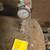 CAMPBELL HAUSFELD Air Compressor - Works 4 thumbnail