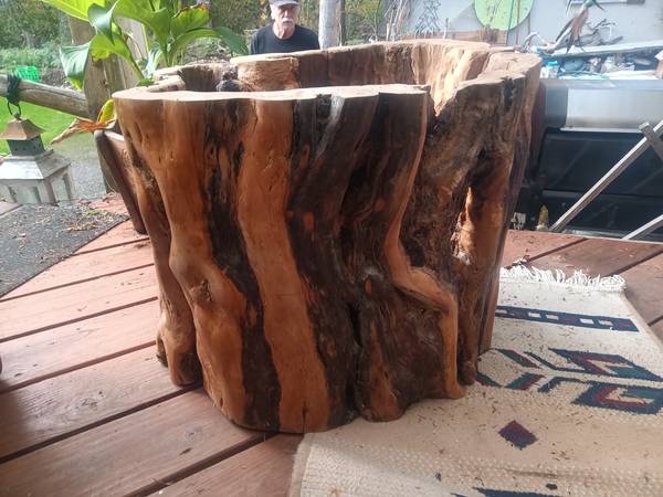 One of a Kind Hardwood Hollow Stump Table Base - $500 (Maple Falls)63469925823491120