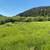 10.9 ac Land w/Creek, Moose, Deer, Hunting, Access To Public Land 16 thumbnail
