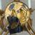 Vintage Mid Century Hollywood Regency Gilt 9 Arm Wall Light 8 thumbnail