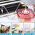 Firm Price! Brand New in a Box Vacuum Sealer Machine 7 thumbnail