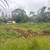 Cleared lot forsale 3 thumbnail