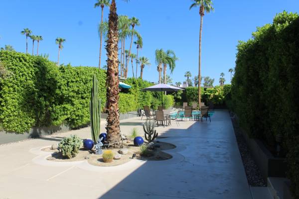 $2,100 / 2br - 1016ft2 - Palm Springs/Near Downtown (Palm Springs)63686209704193121