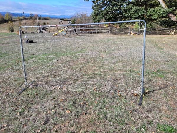 Backyard soccer bounce back goal 1