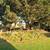 Amazing Upstairs 1 bed/1bath Walking Distance from Carlsbad Village an 13 thumbnail