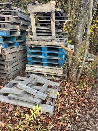 Blue Stone Empty pallets 1