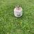 PROPANE TANK GRILL SIZE, FULL 1 thumbnail