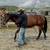 Quarter Horse Gelding 1 thumbnail