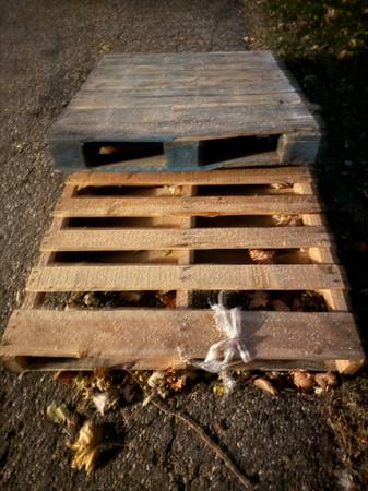pallets 1