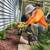 Landscape Worker P/T 1 thumbnail