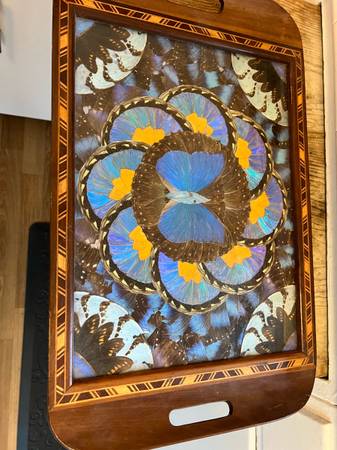 1940 Vintage Brazilian inlaid wood Morpho Butterfy wings serving tray. 1