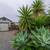 Charming 1 Bed 1 Full Bath Spacious Well Located Home 2 thumbnail