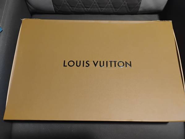 LV Bag and Purse 1