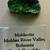 Genuine Moldavite 2 thumbnail