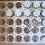 RARE PhD ENTOMOLOGIST Wet Specimen Science Insect Bug Collection 3 thumbnail
