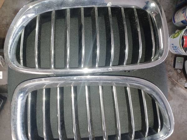 2012 BMW 528 Grille 1