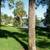 TOWNHOME style condo with garage 2bed/2bath central Orlando $275 HOA! 24 thumbnail